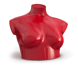 KivatTrine_ProfileHalf_Lia Female mannequin's chest