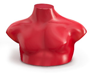 KivatTrine_ProfileHalf_Ramon Male mannequin's chest